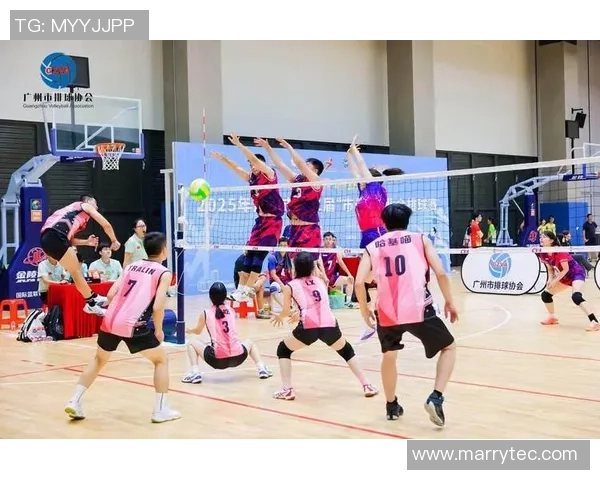 广州排球队战术深度解析与对比研究揭示球队优势与不足